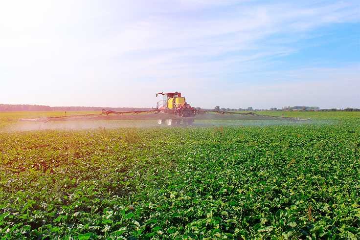 Programa reto campo