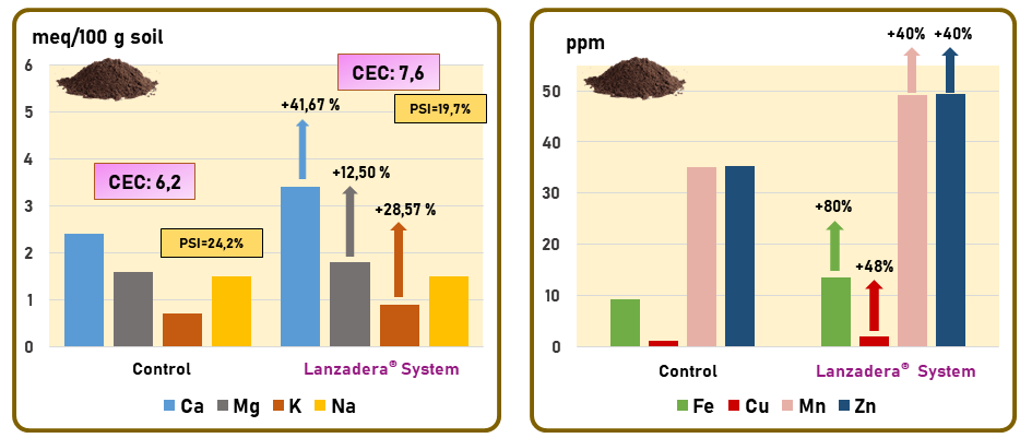 Analysis of soil nutrients at the end of cultivation