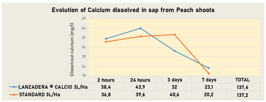 calcium evolution