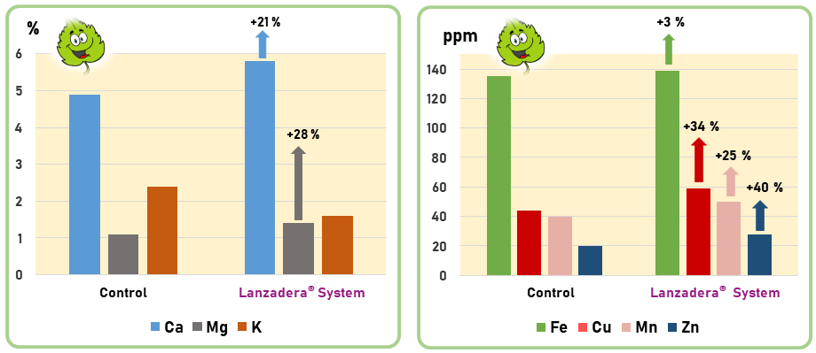 lanzadera system