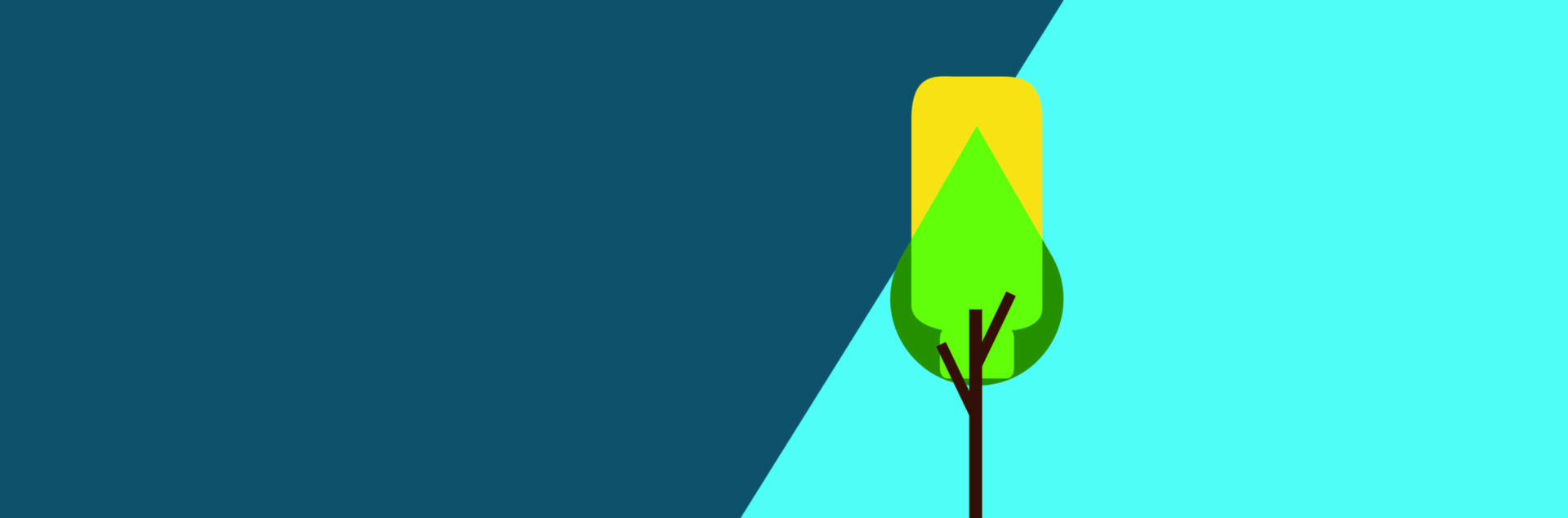 40 ANIVERSARIO AGROMÉTODOS